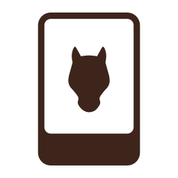 manualdivinecard